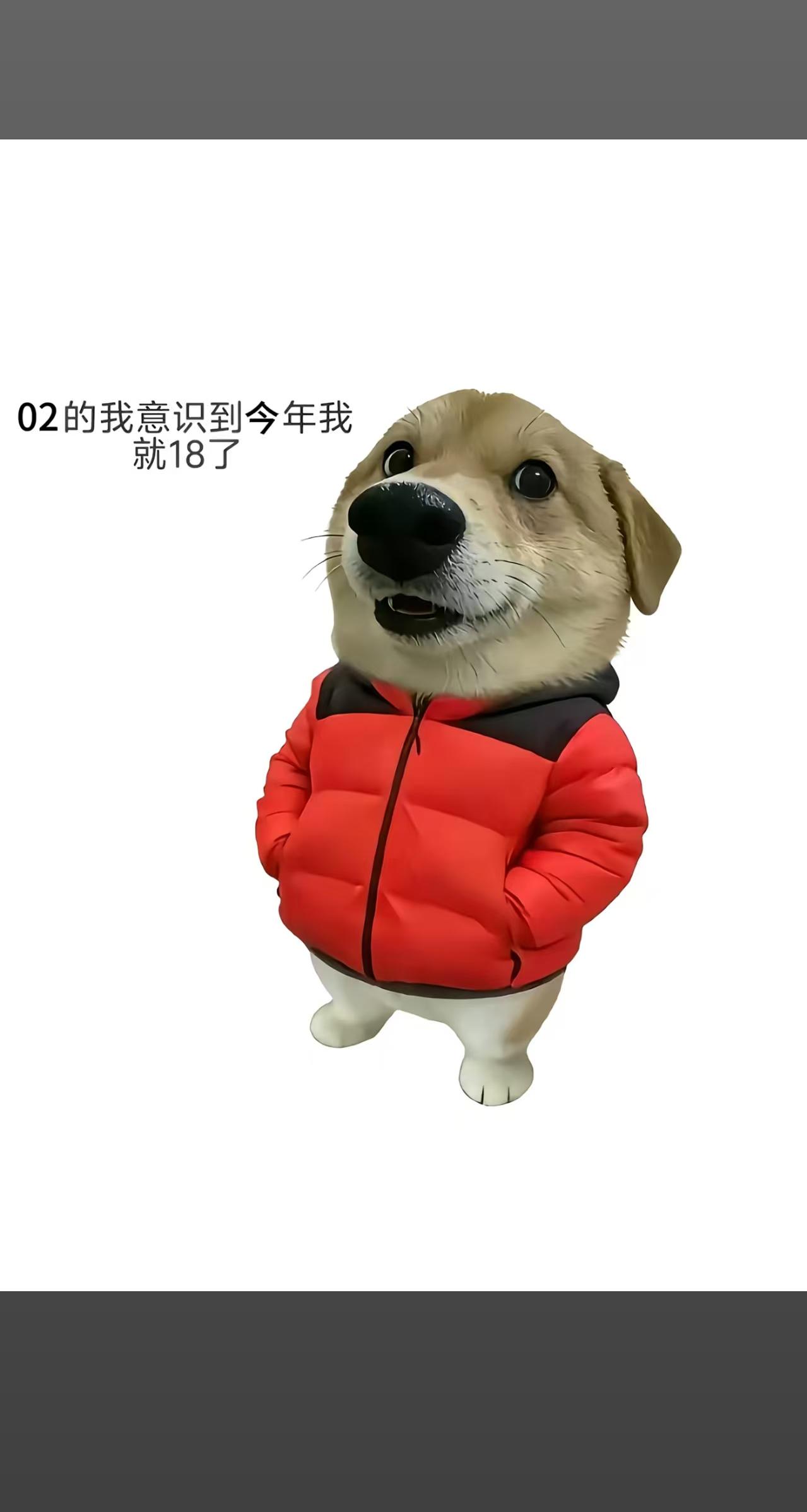追风
