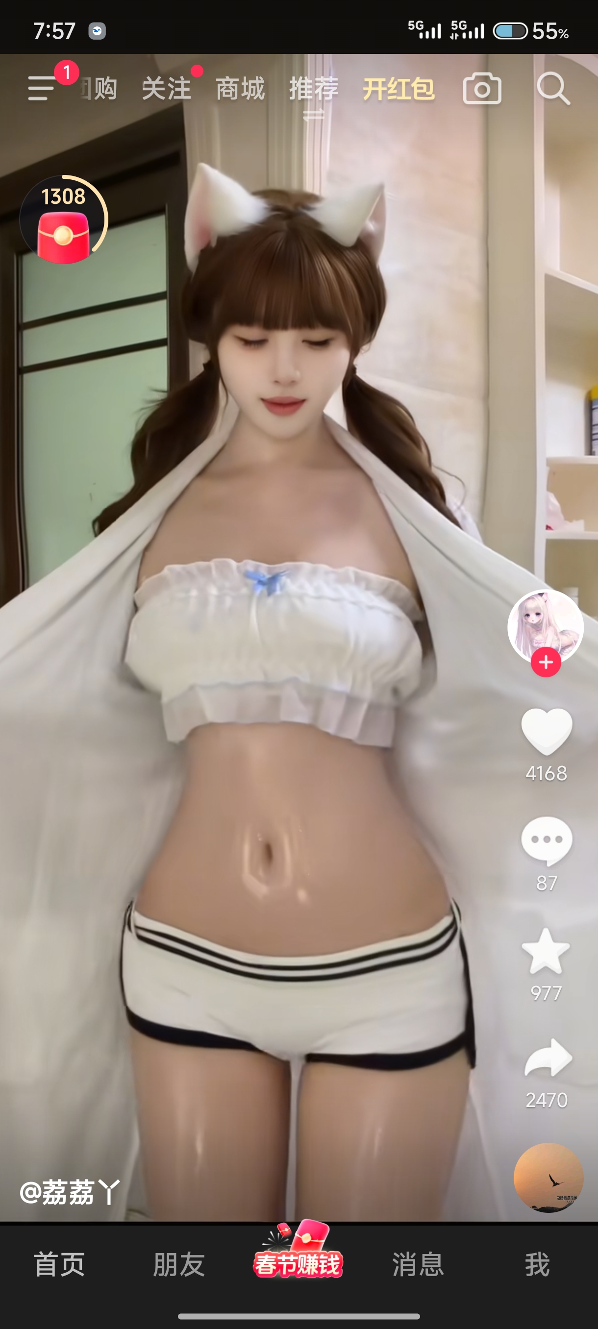 四季豆