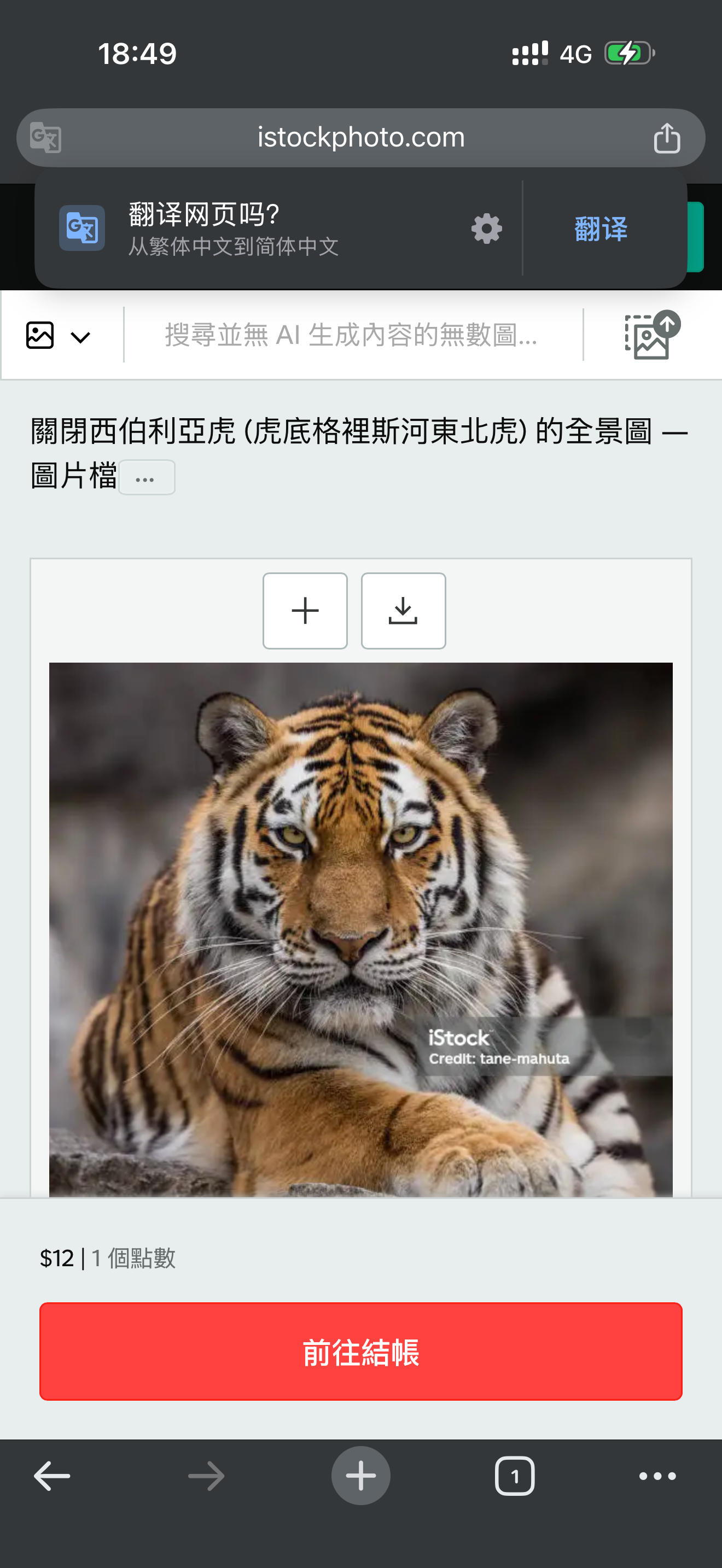亚妮